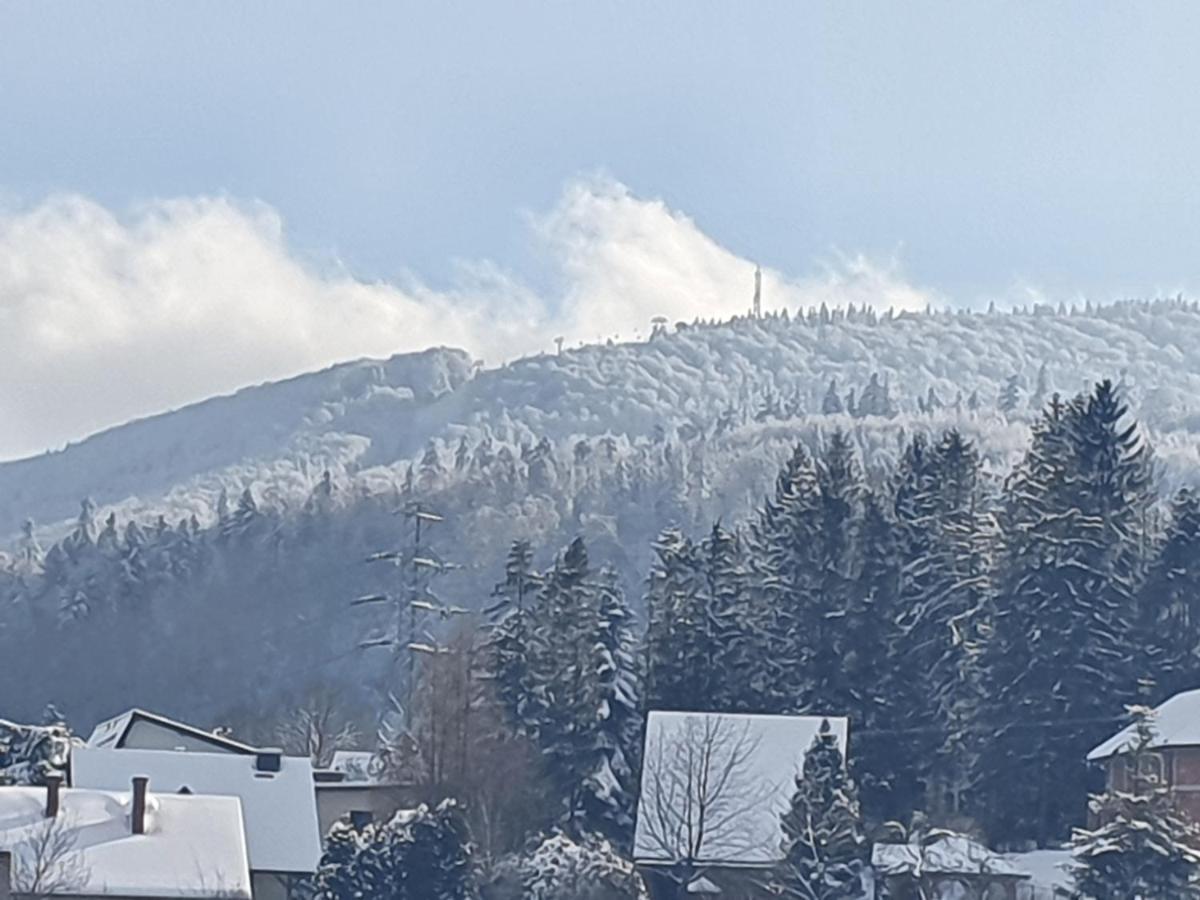 Domek Pod Krolowem Ustron Dış mekan fotoğraf